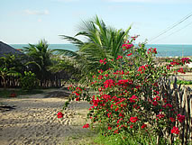 Two cottages for sale in Canoa Quebrada