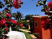 Jardim Tropical da Pousada Lua Morena em Canoa Quebrada