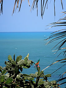 Vistra privilegiada para o mar de Canoa Quebrada