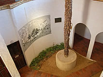 Apartamento Pousada Vila Surf Beach - Canoa Quebrada