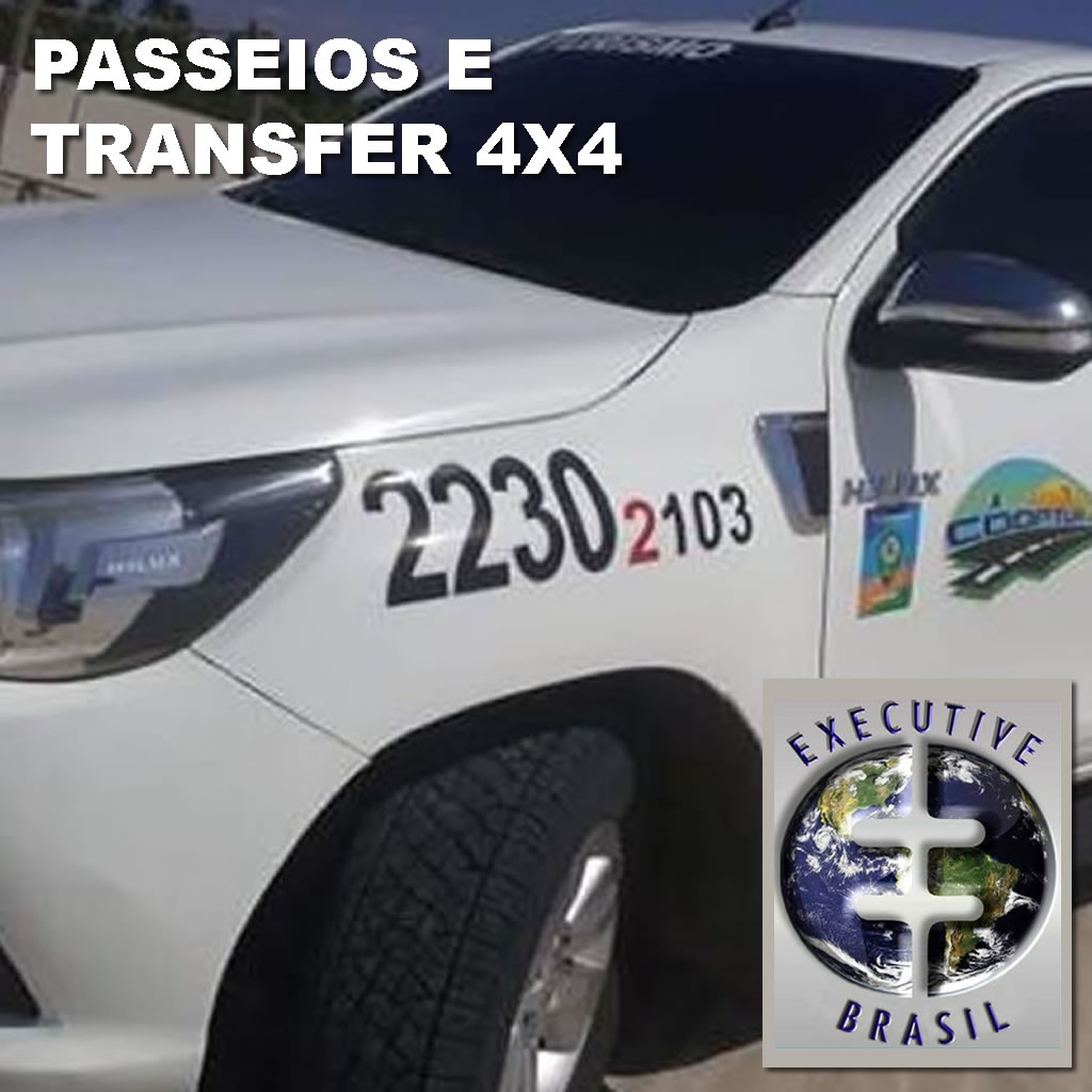 Executive Brasil - Transfer e Passeios