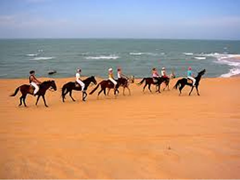 Passeios a Cavalo em Canoa Quebrada